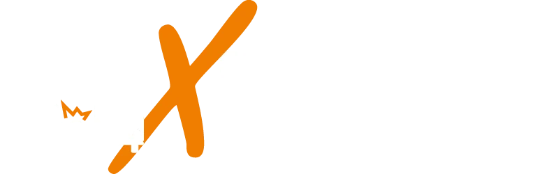 Expert Logo quer in Weiß